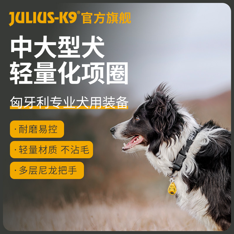 Julius K9项圈小中大型犬脖套猫咪泰迪拉手狗项圈进口宠物狗用品