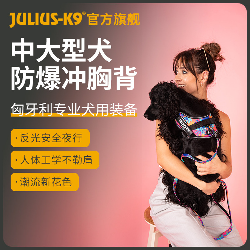 Juliusk9胸背中小型犬遛狗防爆冲背带宠物狗牵引胸背套装欧洲进口