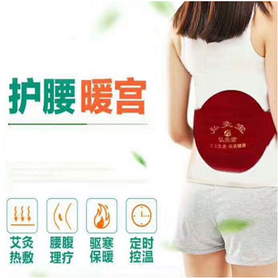 電熱腰部加熱護腰腰間盤突出勞損保暖暖宮貼艾灸暖胃腰帶寶艾葉貼