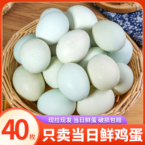 正宗农家散养乌鸡蛋绿壳鸡蛋40枚