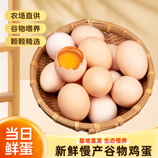 逗别三日新鲜鸡蛋10枚50g大谷物富硒鸡蛋农家散养笨柴草鸡蛋40枚