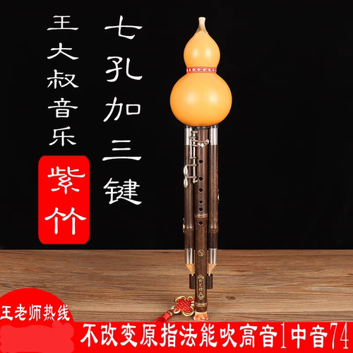 王大叔加键葫芦丝专业紫竹