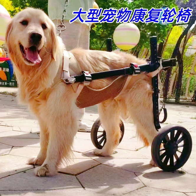 狗轮椅宠物轮椅车后肢狗狗残疾训练康复用代步车老年犬中大型狗车
