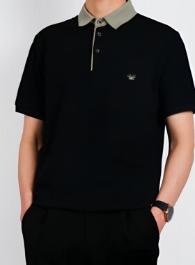9536夏季净色休闲时尚商务百搭短袖POLO衫男男款简约经典