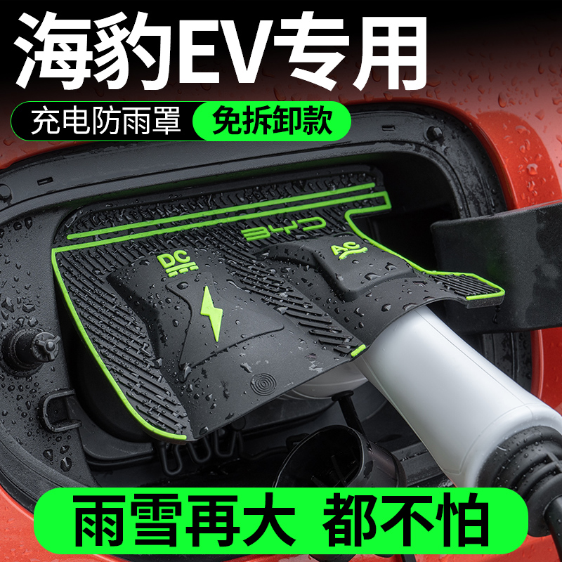 适用比亚迪海豹05D 06EV 07DMI专用充电枪防雨罩电防护罩隐藏式挡