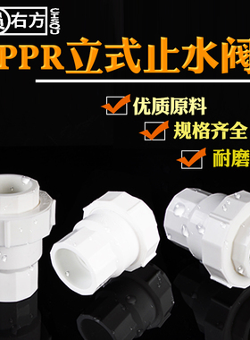 25PPR立式止回阀20热熔单向阀32活接逆止阀50/63水管塑料接头配件