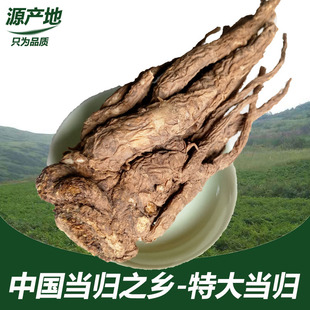 500克 千年藥鄉 當歸 甘肅岷縣純天然無硫特大可切當歸片 包郵