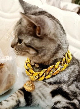 项链配饰狗狗铃铛项圈可拍照饰品仿金链子宠物巴哥泰迪犬恶霸猫咪