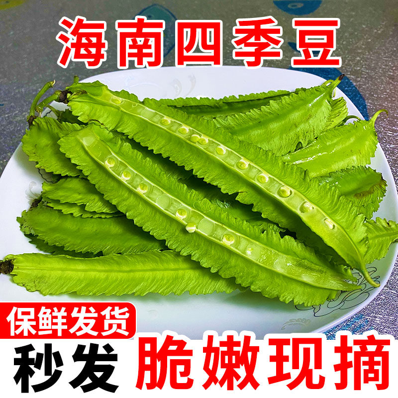 海南四角豆新鲜蔬菜脆嫩四棱豆角豆现净重0.5/4斤包邮自种农产品