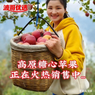 四川甘孜泸定康定黄草坪高原特产正宗糖心苹果精品中大果送礼佳品