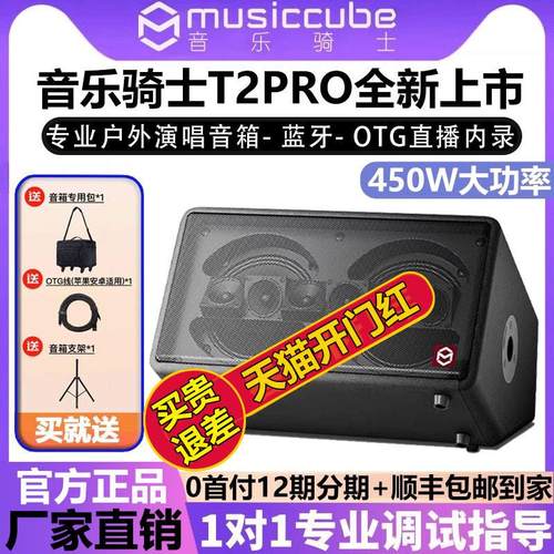 T2PRO便携户外直播充电吹管木吉他萨克斯弹唱音箱