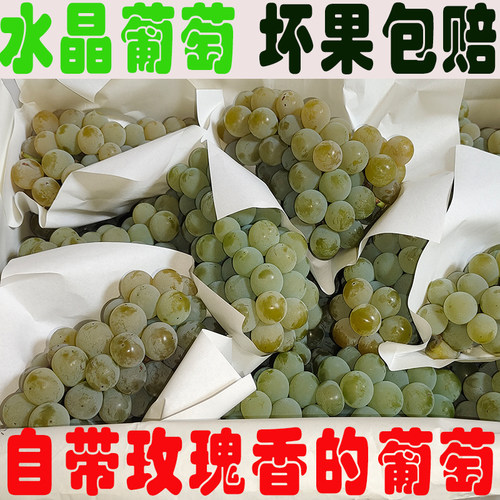 2026水晶葡萄新鲜水果香葡萄