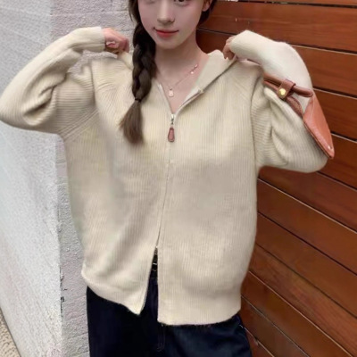 韩系双拉链高级感连帽开