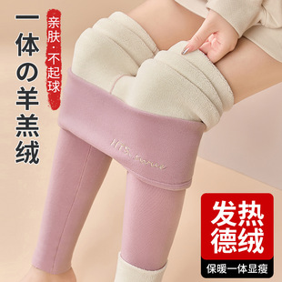 女士内穿秋冬季 高腰羊羔绒打底裤 加绒加厚保暖裤 毛裤 棉裤 德绒秋裤