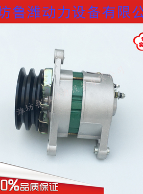 潍坊4105/6105柴油机小发电机 水泥罐发电机组用JF2314发电机28V