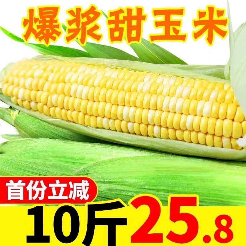 云南新鲜水果玉米现货当季甜玉米新鲜玉米