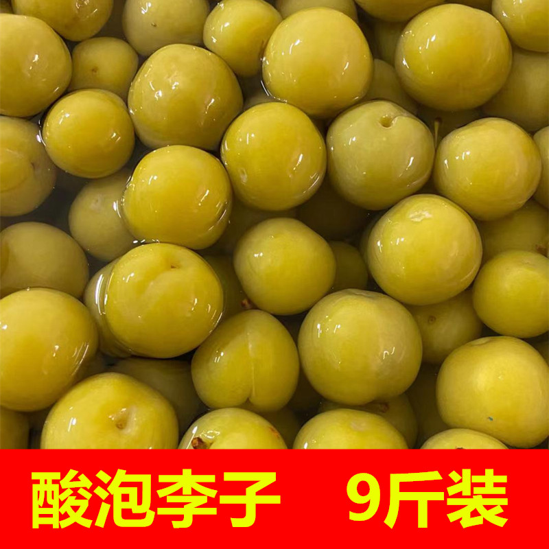 酸李子广西腌制酸料特产
