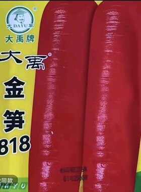 大禹金笋818胡萝卜种子  杂交三红甜脆多汁