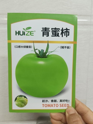 青蜜柿种子贼不偷柿子种子