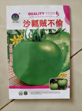 沙瓤贼不偷柿子种子