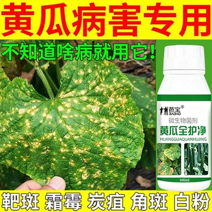 黄瓜病菌清病毒病专霜霉病靶斑白粉黄斑黄叶病杀菌剂防治用药