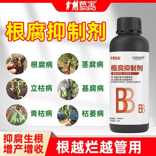 根腐卫士烂根软腐农作物专用根腐抑制剂苗期死棵青枯立枯促生新根