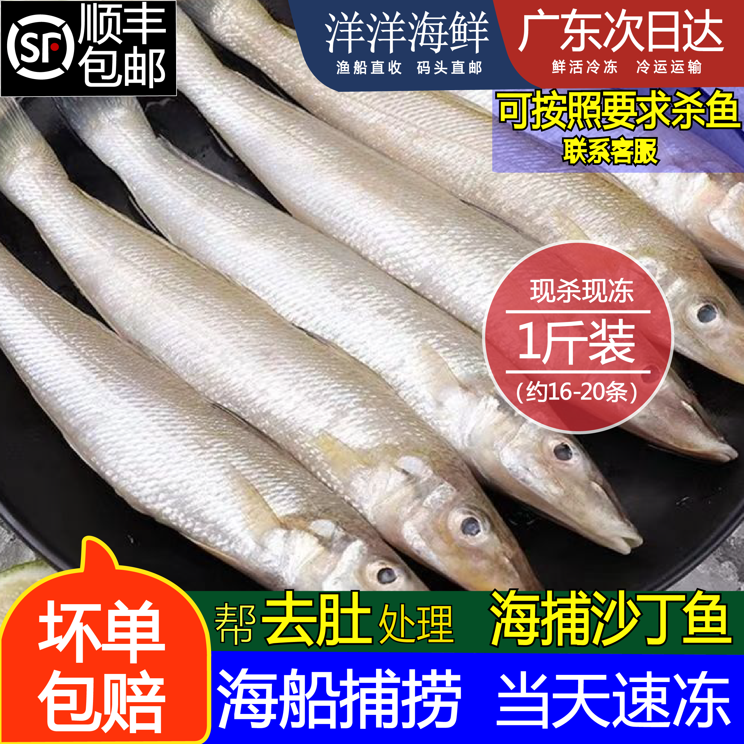 汕尾沙尖鱼海捕沙钻鱼新鲜海捕海鲜深海鱼潮汕沙丁鱼尖嘴鱼水产