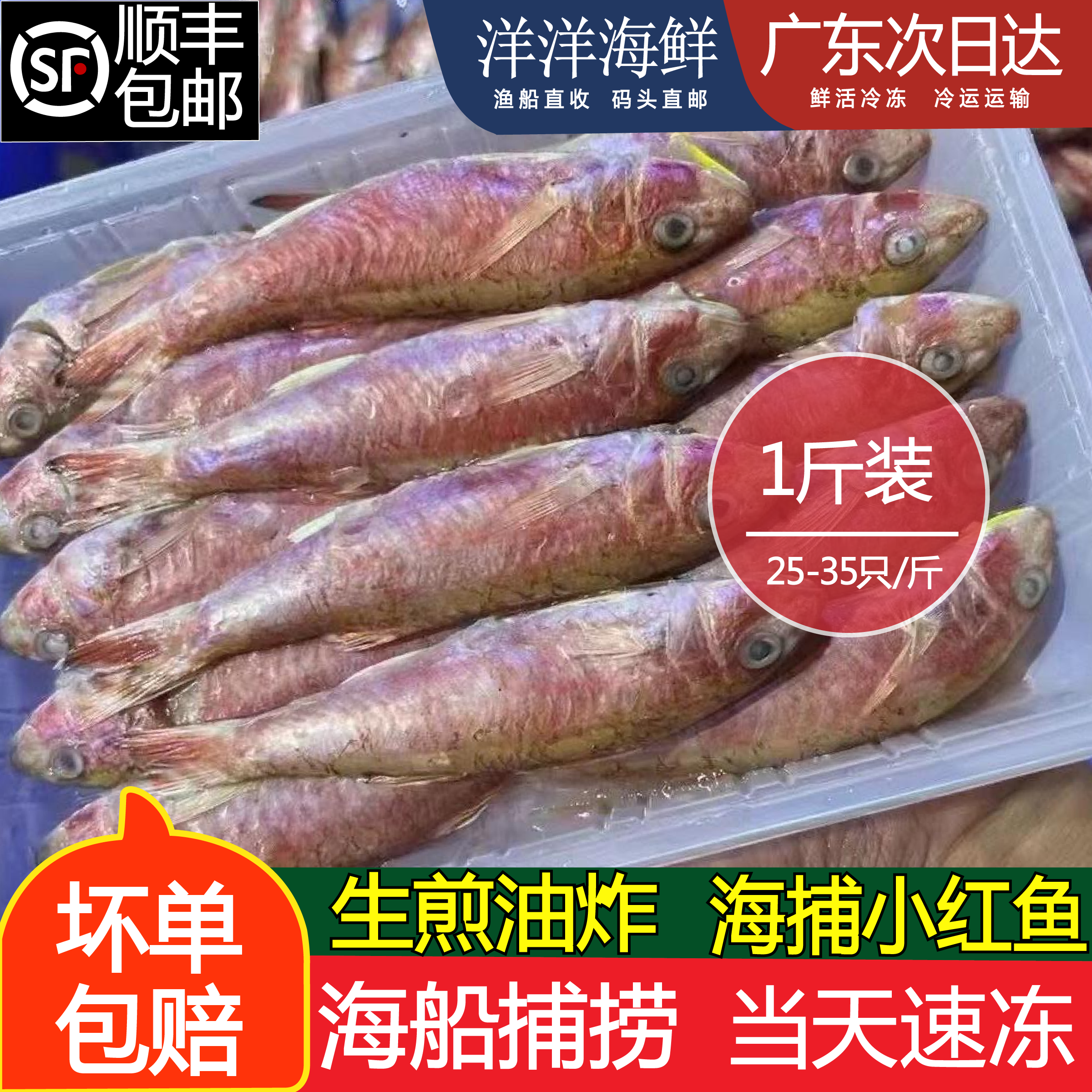 正红鱼潮汕海鱼新鲜海捕红鱼仔海杂鱼小鱼仔红鱼母海鲜水产小海鱼