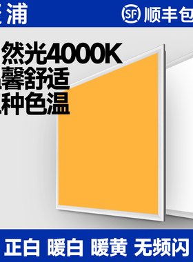 集成吊顶600x600led平板灯暖白4000K中性光60x60面板灯工程灯暖黄