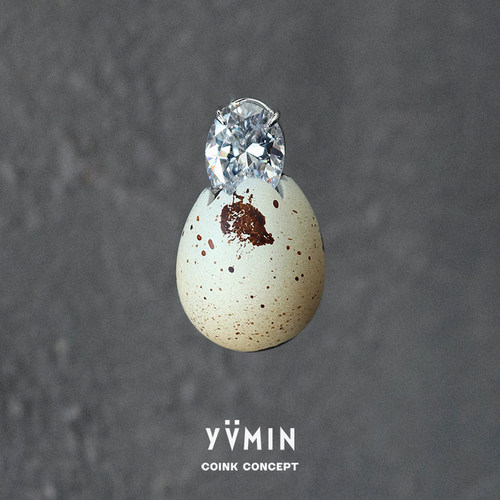 YVMIN尤目原创小众设计个性耳饰