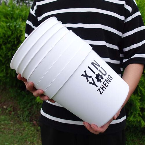 热销懒人自动吸水花盆双层透明储水加厚I塑料圆形水培绿萝盆栽免