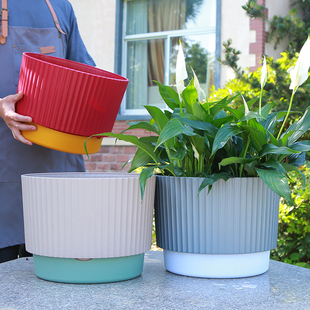 包邮 蝴蝶兰花盆塑料北欧简约超大号加厚绿萝月季 盆栽盆圆形带托盘