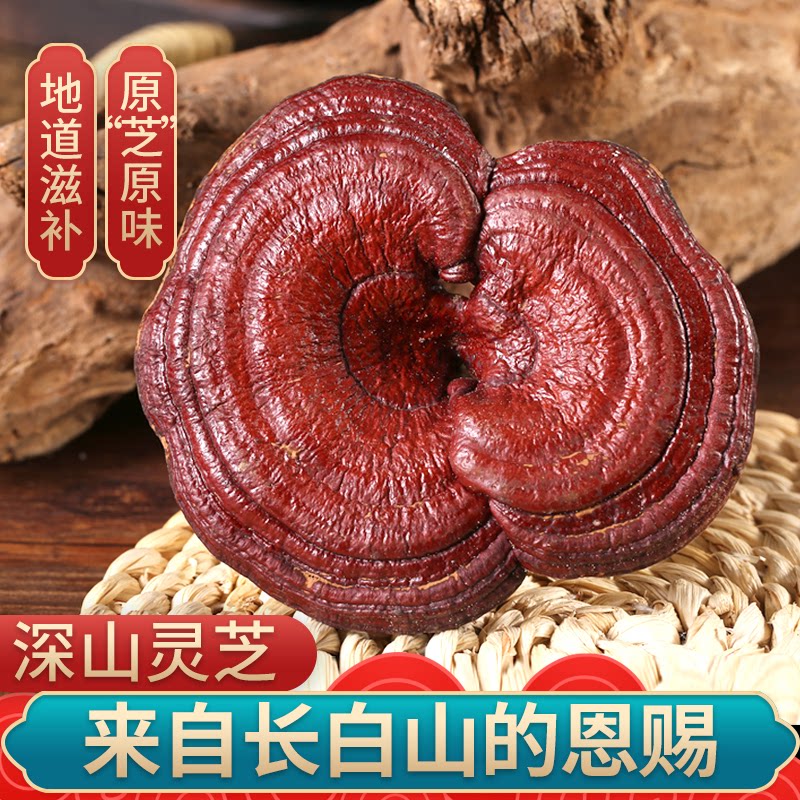 正宗长白山灵芝整枝切片赤灵芝250g干货高品质养生中药材煲汤泡酒