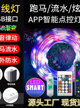 RGB幻彩皮线灯串户外防水APP蓝牙遥控变色圣诞树装饰声控点控串灯