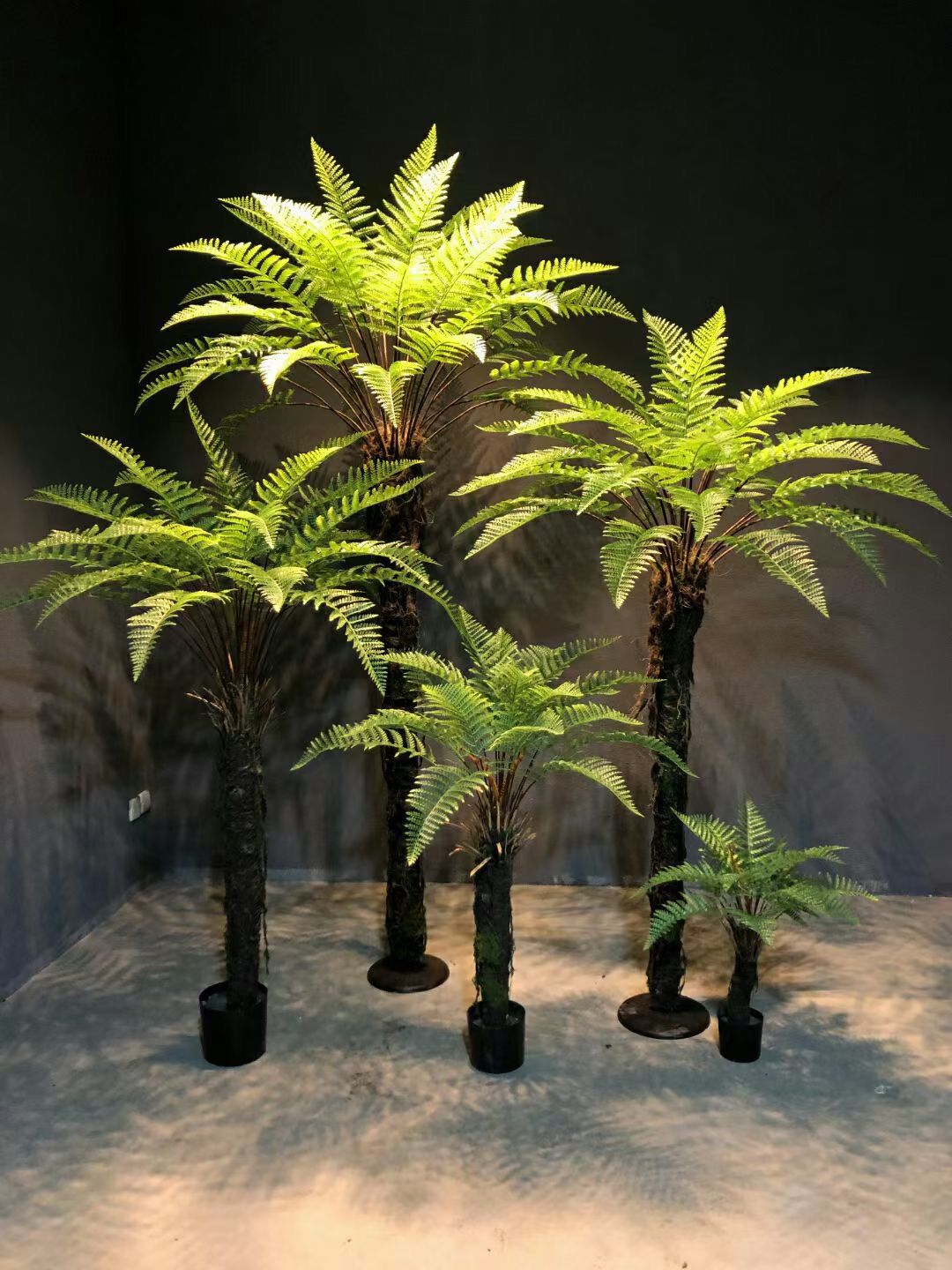 沙罗展览落地摆件蕨类植物假树