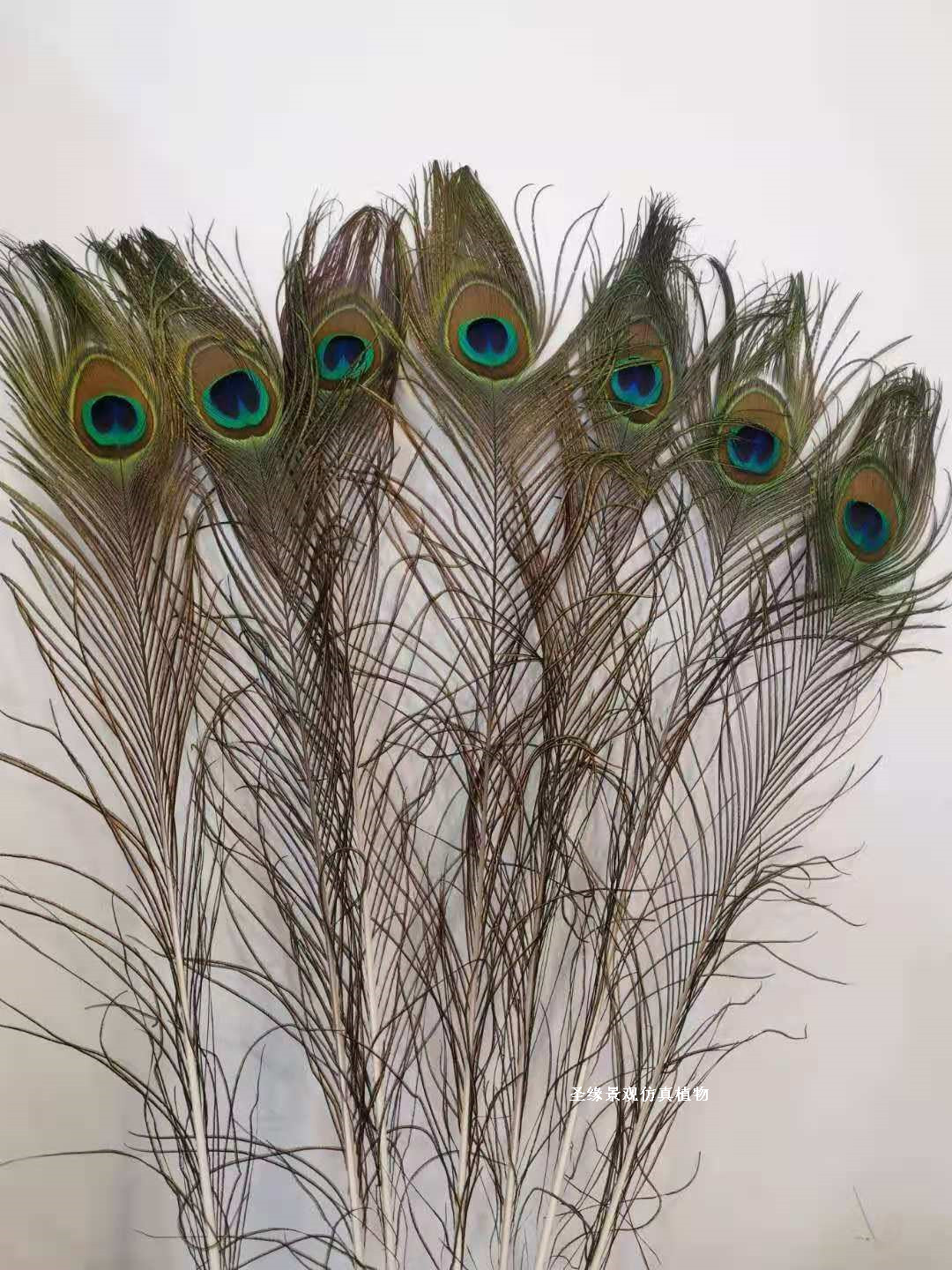 孔雀毛翎羽客厅装饰花瓶插花孔雀毛家居摆设饰品舞台表演拍摄道具