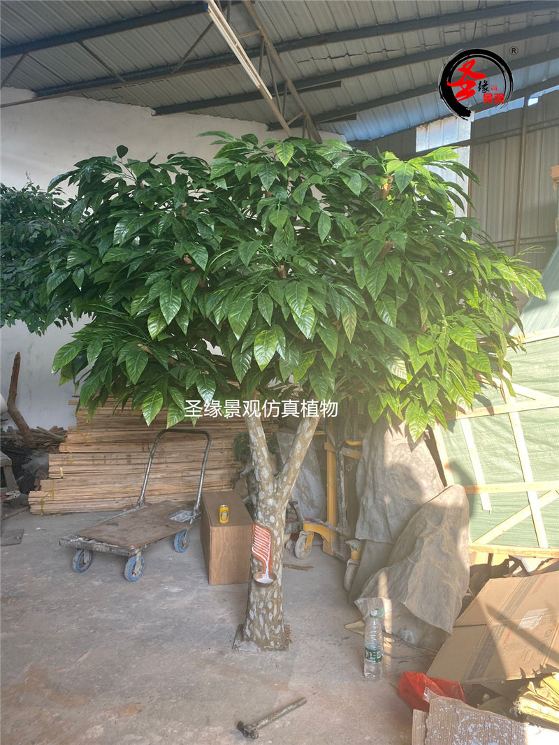 仿真橡胶树影视道具酒店橱窗森系北欧风落地装饰玻璃钢橡胶树摆件