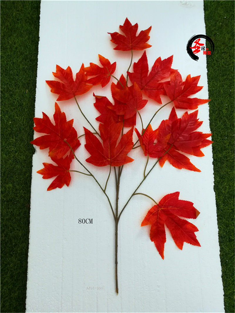 树通天树叶目槭梧桐叶刺楸刺桐叶枫仿真工程叶木c树叶番三角木瓜
