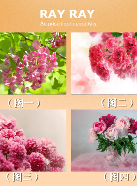简单DIY数字油画粉红色牡丹花植物挂画装饰室内手绘丙烯情侣礼物