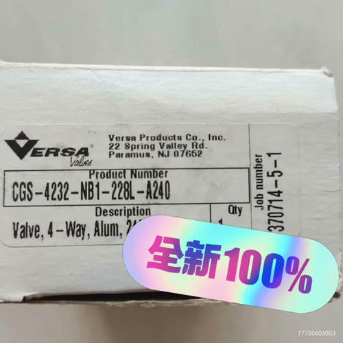 VERSA CGS-4232-NB1-228L-A240电磁