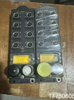 TURCK模块 FDNL-S1204H-0153拍功能