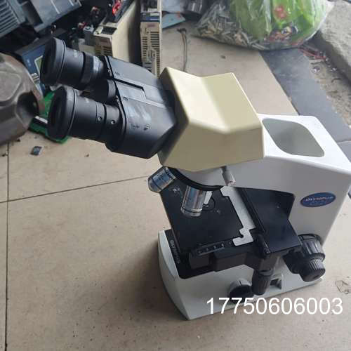 奥林巴斯CX21FS1显微镜，成色，