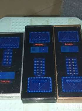 品牌Dashing白蚁微波探测仪T9，两台