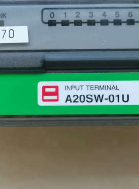 Anywire奈良A20SW-01U控制模块