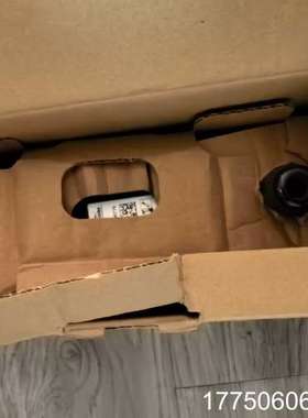 霍科德UVC1 L1G1A UV-Flame detecto