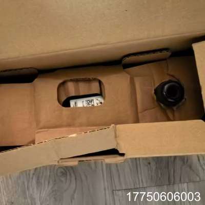 霍科德UVC1 L1G1A UV-Flame detecto