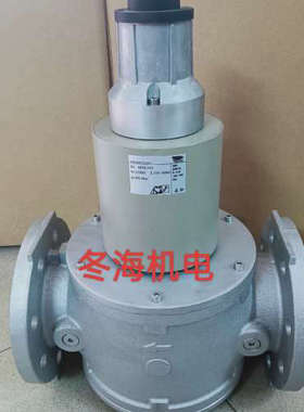 SG65FS/220电磁阀SG80FS/220施能燃气安全阀