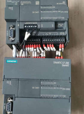 SR30,200smart PLC,288-1S