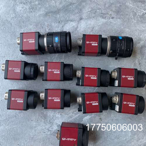 德国avt工业相机  GPF-503B  GPF-503C