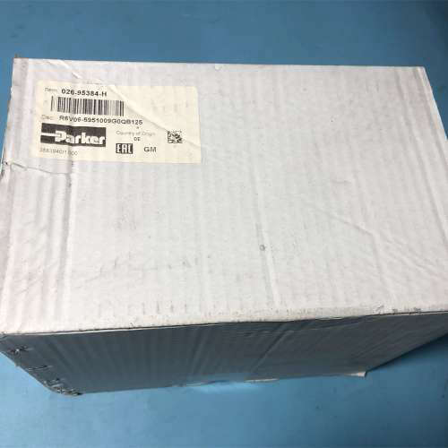 026-95384-H R6V06-5951009G0QB1
